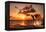 Beautiful Sunset with Dolphins Jumping-balaikin2009-Framed Premier Image Canvas