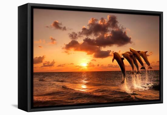 Beautiful Sunset with Dolphins Jumping-balaikin2009-Framed Premier Image Canvas