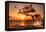 Beautiful Sunset with Dolphins Jumping-balaikin2009-Framed Premier Image Canvas