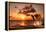 Beautiful Sunset with Dolphins Jumping-balaikin2009-Framed Premier Image Canvas