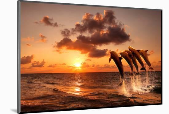 Beautiful Sunset with Dolphins Jumping-balaikin2009-Mounted Photographic Print