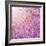 Beautiful Tender Cherry Tree Blossom in Morning Purple Sun Light-Anna Omelchenko-Framed Photographic Print