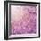 Beautiful Tender Cherry Tree Blossom in Morning Purple Sun Light-Anna Omelchenko-Framed Photographic Print