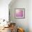 Beautiful Tender Cherry Tree Blossom in Morning Purple Sun Light-Anna Omelchenko-Framed Art Print displayed on a wall