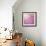 Beautiful Tender Cherry Tree Blossom in Morning Purple Sun Light-Anna Omelchenko-Framed Art Print displayed on a wall