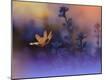 Premium Photographic Print