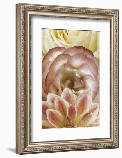 Beautiful Triad I-Alonzo Saunders-Framed Photographic Print