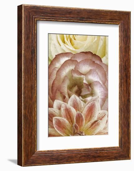 Beautiful Triad I-Alonzo Saunders-Framed Photographic Print