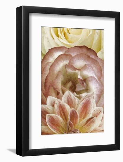 Beautiful Triad I-Alonzo Saunders-Framed Photographic Print