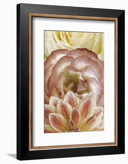 Beautiful Triad I-Alonzo Saunders-Framed Photographic Print