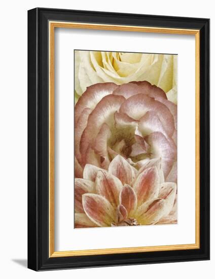 Beautiful Triad I-Alonzo Saunders-Framed Photographic Print