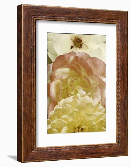 Beautiful Triad II-Alonzo Saunders-Framed Photographic Print