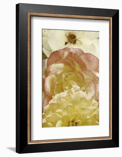 Beautiful Triad II-Alonzo Saunders-Framed Photographic Print