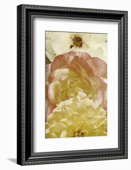 Beautiful Triad II-Alonzo Saunders-Framed Photographic Print