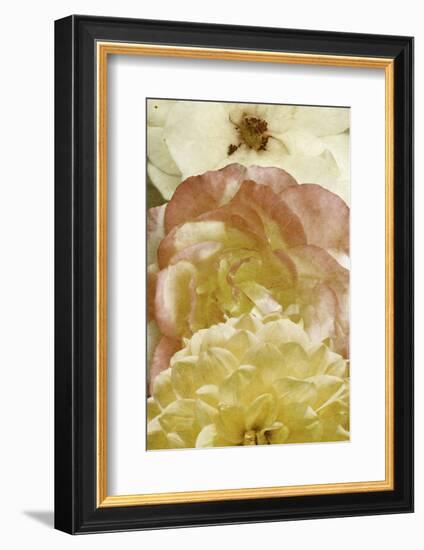 Beautiful Triad II-Alonzo Saunders-Framed Photographic Print