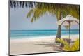 Premium Photographic Print