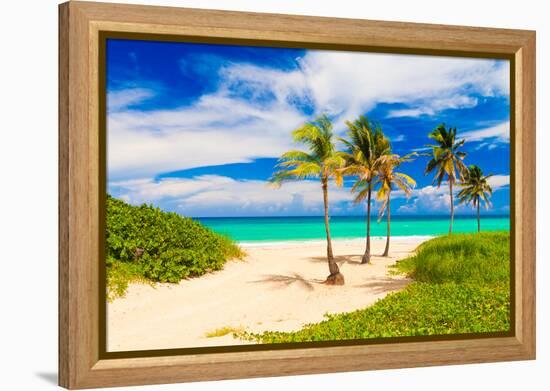 Beautiful Tropical Beach in Cuba-Kamira-Framed Premier Image Canvas