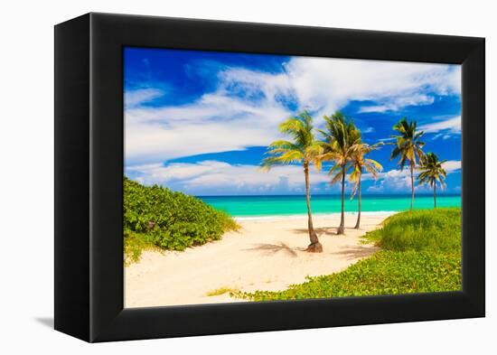 Beautiful Tropical Beach in Cuba-Kamira-Framed Premier Image Canvas