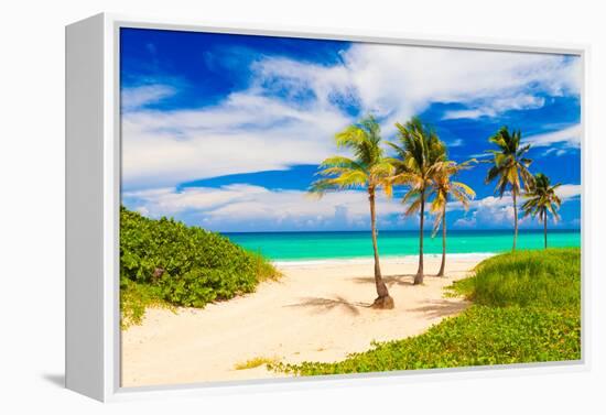 Beautiful Tropical Beach in Cuba-Kamira-Framed Premier Image Canvas