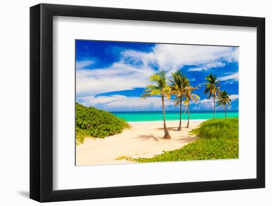 Beautiful Tropical Beach in Cuba-Kamira-Framed Photographic Print