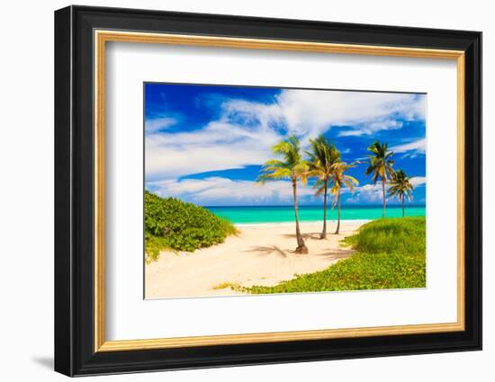 Beautiful Tropical Beach in Cuba-Kamira-Framed Photographic Print