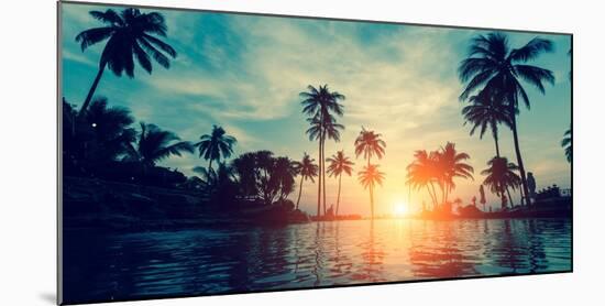 Beautiful Tropical Beach with Palm Trees Silhouettes at Dusk.-De Visu-Mounted Photographic Print