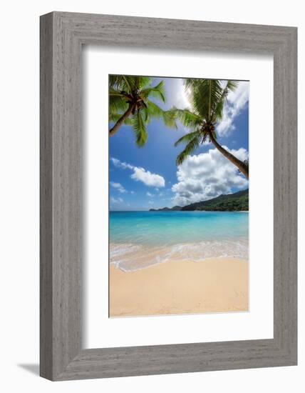 Beautiful Tropical Beach with Palms and Turquoise Sea in Paradise Island.-lucky-photographer-Framed Photographic Print