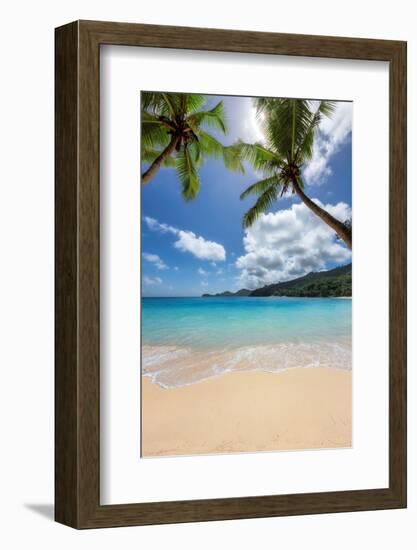Beautiful Tropical Beach with Palms and Turquoise Sea in Paradise Island.-lucky-photographer-Framed Photographic Print