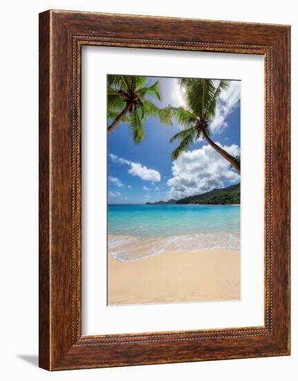 Beautiful Tropical Beach with Palms and Turquoise Sea in Paradise Island.-lucky-photographer-Framed Photographic Print