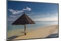Premium Photographic Print