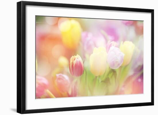 Beautiful Tulips Made with Color Filters-Timofeeva Maria-Framed Premium Giclee Print
