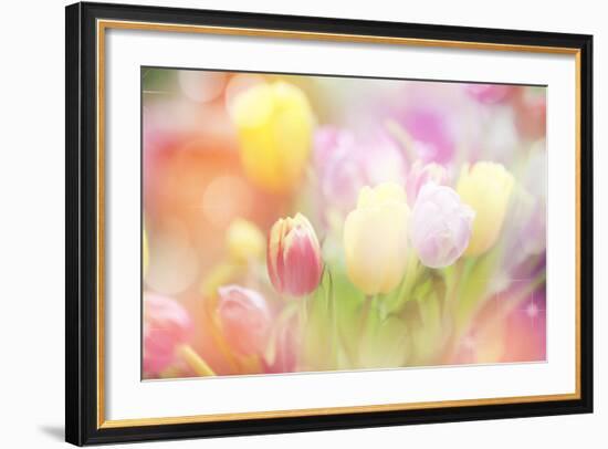 Beautiful Tulips Made with Color Filters-Timofeeva Maria-Framed Premium Giclee Print