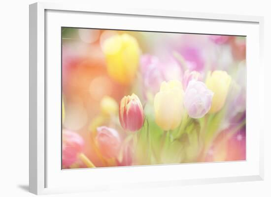 Beautiful Tulips Made with Color Filters-Timofeeva Maria-Framed Art Print