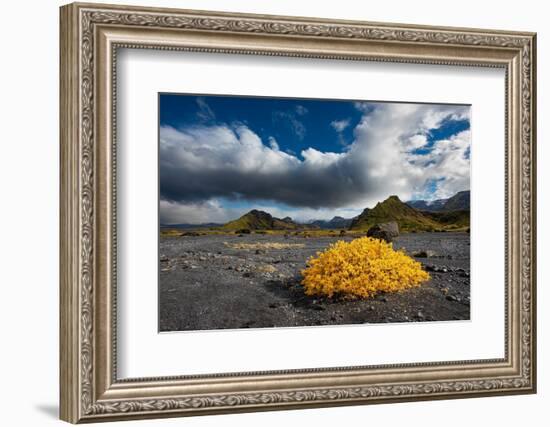 Beautiful Valley of Thor reaches into the highlands of Iceland. Fall color livens the landscape.-Betty Sederquist-Framed Photographic Print