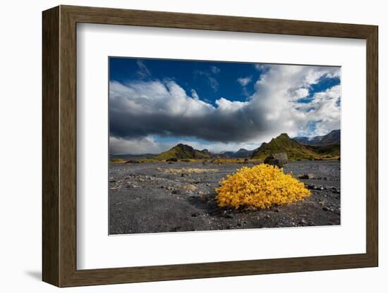 Beautiful Valley of Thor reaches into the highlands of Iceland. Fall color livens the landscape.-Betty Sederquist-Framed Photographic Print