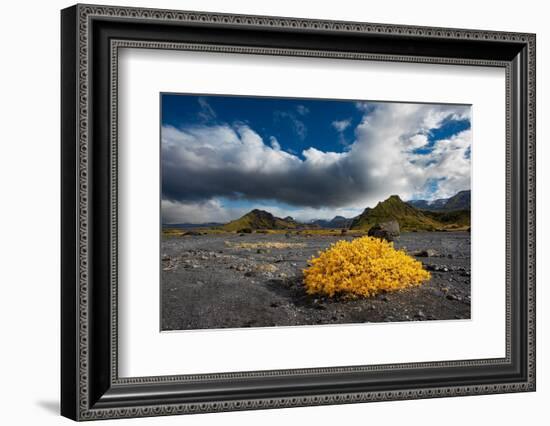 Beautiful Valley of Thor reaches into the highlands of Iceland. Fall color livens the landscape.-Betty Sederquist-Framed Photographic Print