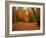 Beautiful Vibrant Autumn Fall Forest Scene in English Countryside Landscape-Veneratio-Framed Photographic Print