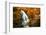 Beautiful Waterfall. Autumn-silver-john-Framed Photographic Print