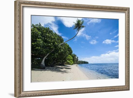 Beautiful White Sand Beach and Palm Trees on Yap Island, Micronesia-Michael Runkel-Framed Photographic Print