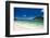 Beautiful white sand beach on Monuriki Island (Cast Away Island), Mamanuca Islands, Fiji, South Pac-Michael Runkel-Framed Photographic Print