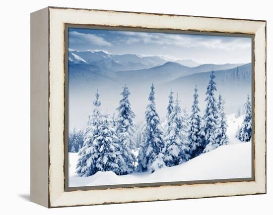 Beautiful Winter Landscape with Snow Covered Trees-Leonid Tit-Framed Premier Image Canvas