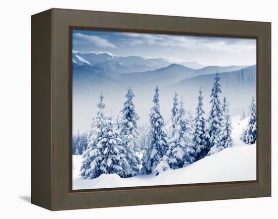 Beautiful Winter Landscape with Snow Covered Trees-Leonid Tit-Framed Premier Image Canvas