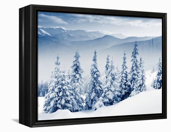 Beautiful Winter Landscape with Snow Covered Trees-Leonid Tit-Framed Premier Image Canvas
