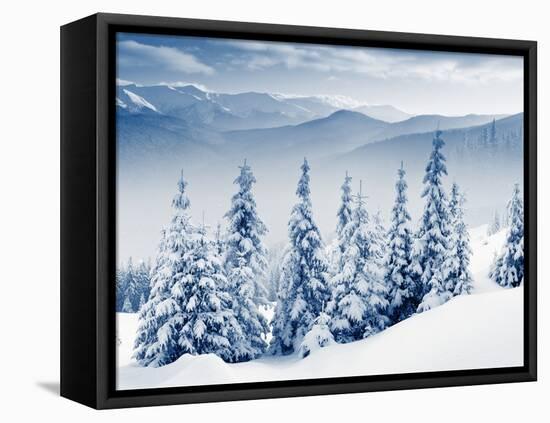 Beautiful Winter Landscape with Snow Covered Trees-Leonid Tit-Framed Premier Image Canvas