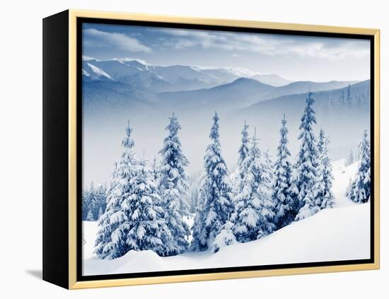 Beautiful Winter Landscape with Snow Covered Trees-Leonid Tit-Framed Premier Image Canvas