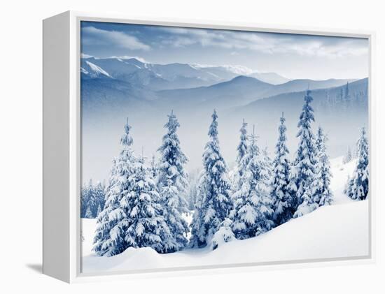 Beautiful Winter Landscape with Snow Covered Trees-Leonid Tit-Framed Premier Image Canvas