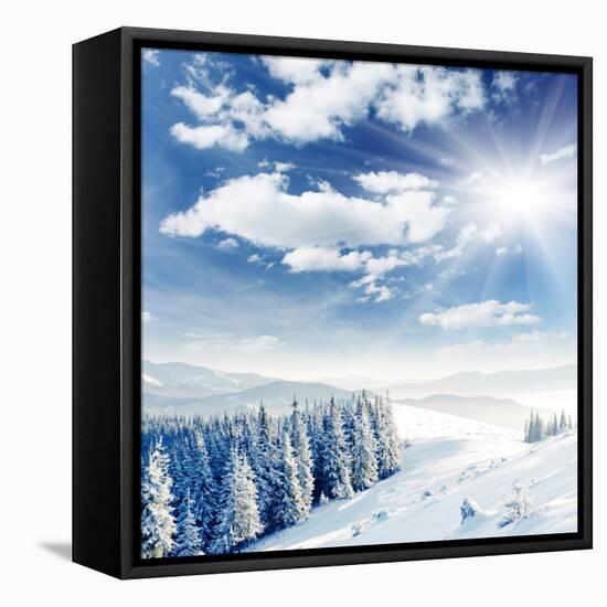 Beautiful Winter Landscape with Snow Covered Trees-Leonid Tit-Framed Premier Image Canvas