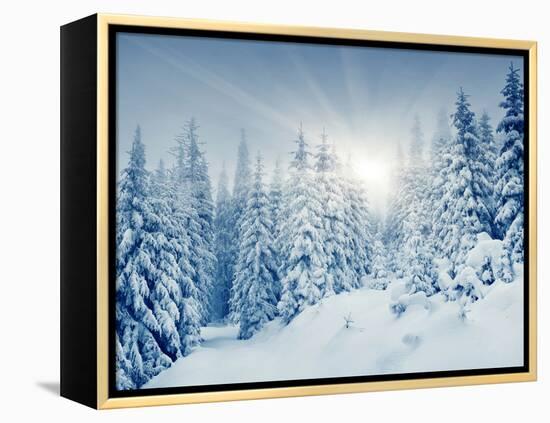 Beautiful Winter Landscape with Snow Covered Trees-Leonid Tit-Framed Premier Image Canvas