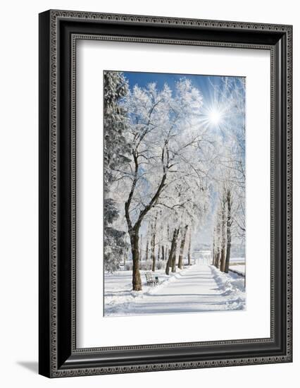 Beautiful Winter Landscape with Snow Covered Trees-Leonid Tit-Framed Photographic Print