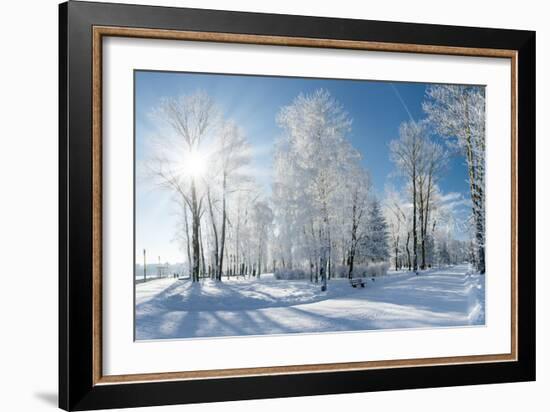 Beautiful Winter Landscape with Snow Covered Trees-Leonid Tit-Framed Photographic Print